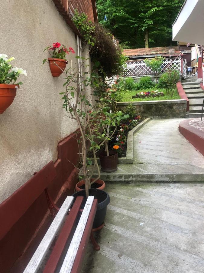 Vila Zeno Braşov Dış mekan fotoğraf
