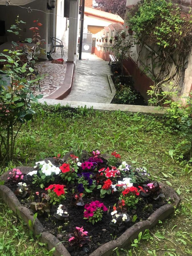 Vila Zeno Braşov Dış mekan fotoğraf